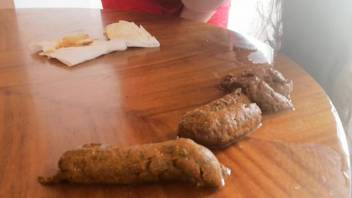 Massive defecation session on the table